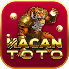 MACANTOTO - Aplikasi Les Online Terbaik untuk Pembelajaran Efektif